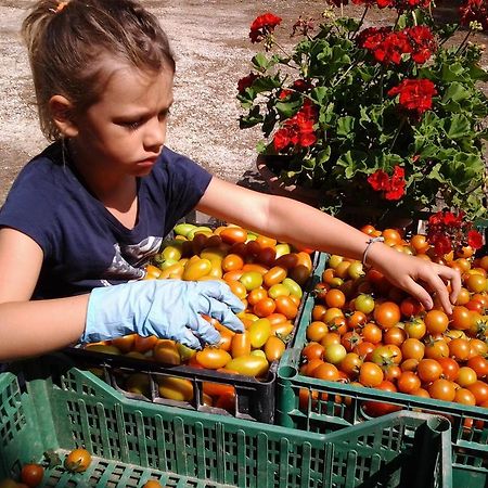 Agriresidence San Pietro Bibione Eksteriør bilde