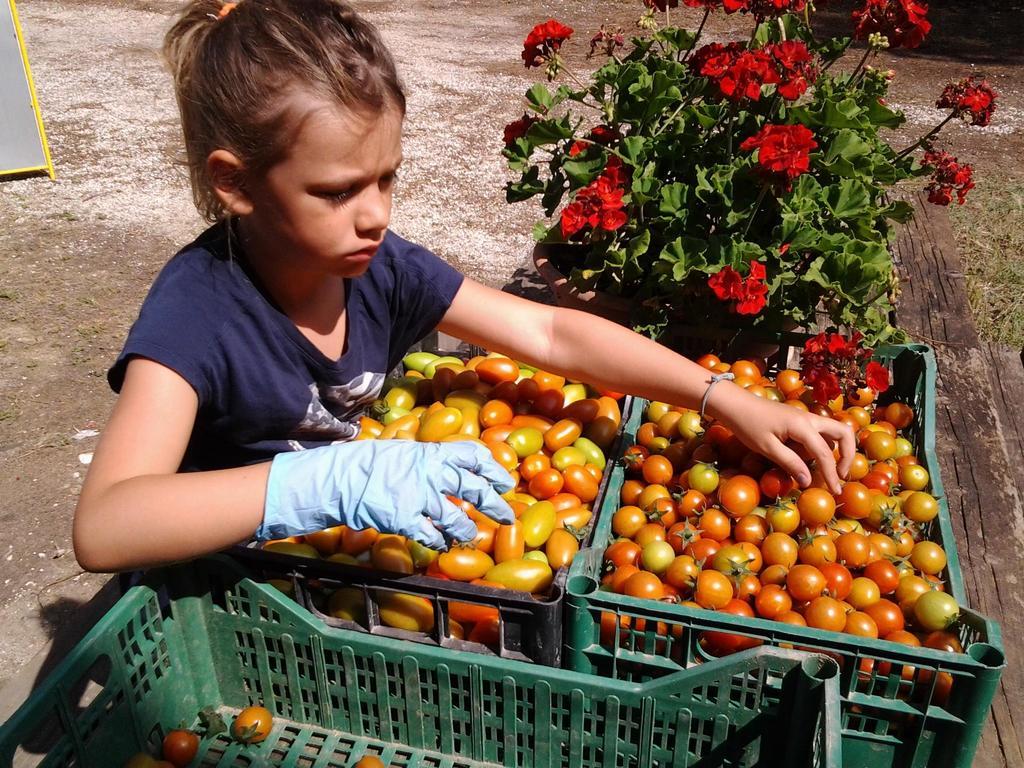 Agriresidence San Pietro Bibione Eksteriør bilde