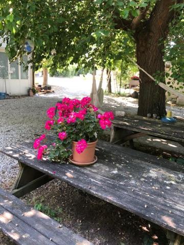 Agriresidence San Pietro Bibione Eksteriør bilde