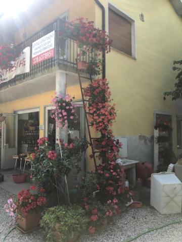 Agriresidence San Pietro Bibione Eksteriør bilde